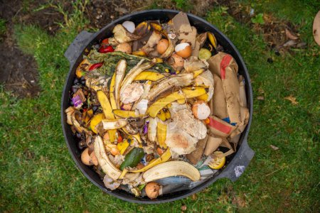 vegetable waste in a compost bin with worms breaking them down in australia