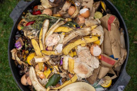 déchets végétaux dans un bac à compost avec des vers les décomposer en Australie
