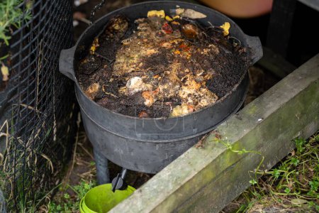 Foto de Gusanos en una pila de compost, compost termofílico orgánico girando en Australia - Imagen libre de derechos
