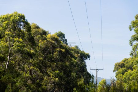 Stromleitungen im australischen Busch. Strommasten eine Brandgefahr 
