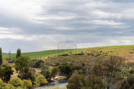río que fluye más allá de tierras de cultivo en verano, en el desierto de Tasmania. Lago con una playa de arena y árboles 