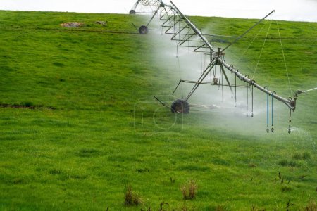 Téléchargez les photos : Irrigation pivot dans un champ agricole cultivant des aliments verts et de l'herbe sur une ferme - en image libre de droit