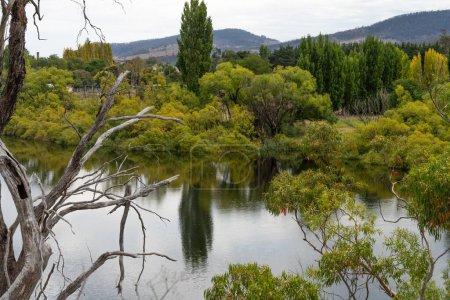 flowing river past farmland in summer, in the Tasmania wilderness. Lake with a Sandy beach and trees