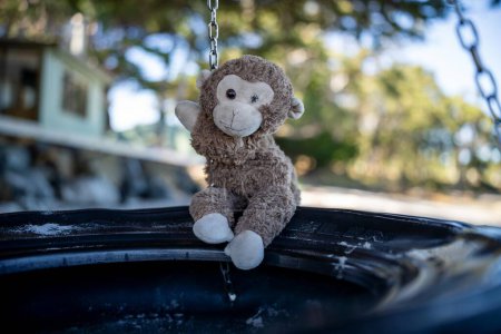 stuffed animal toys swinging on a tyre swing on the  beach in summer