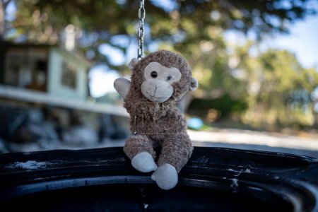 stuffed animal toys swinging on a tyre swing on the  beach in summer