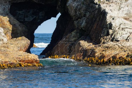 Meeresfelsentunnel in australischer Meereshöhle, durch den Wellen in Tasmanien krachen 