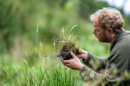 australien pédologue. agriculteur biologique régénératif, prélever des échantillons de sol et examiner la croissance des plantes dans une ferme. pratiquer la durabilité 