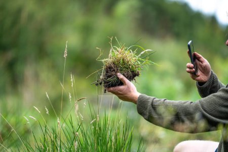 Foto de Científico australiano del suelo. agricultor orgánico regenerativo, tomando muestras de suelo y mirando el crecimiento de las plantas en una granja. practicar la sostenibilidad - Imagen libre de derechos
