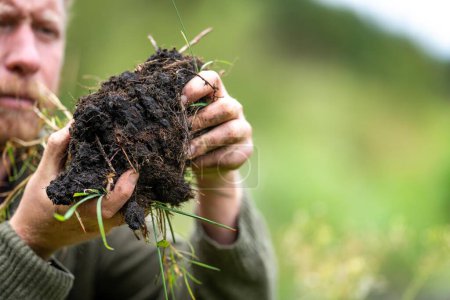 agriculteur recueillant des échantillons de sol dans un tube à essai dans un champ. L'agronome vérifie le carbone du sol et la santé végétale