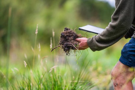 Landwirt hält Erde in der Hand und tastet Kompost auf einem Feld in Tasmanien Australien. bodenwissenschaftler in australien
