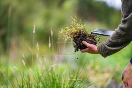 australischer Bodenwissenschaftler. Regenerativer Biobauer, der Bodenproben entnimmt und sich das Pflanzenwachstum auf einem Bauernhof ansieht. Nachhaltigkeit praktizieren 