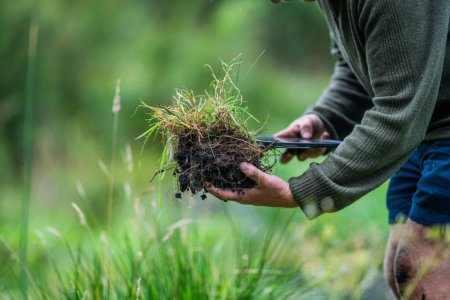 Téléchargez les photos : Agriculteur Tenant le sol dans une main, se sentant compost dans un champ en Tasmanie Australie. spécialiste des sols en Australie - en image libre de droit