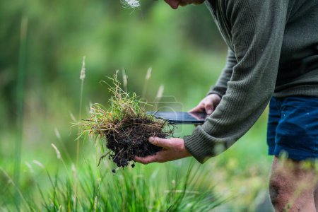 agronomiston ein landwirtschaftlicher Betrieb, der Boden hält und Bodentests in ihrem Heimatlabor durchführt. Blick auf das Bodenleben 
