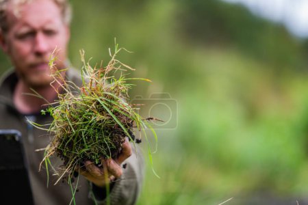 Foto de Hongos del suelo que almacenan carbono a través del secuestro de carbono en una granja, recibiendo créditos de carbono - Imagen libre de derechos