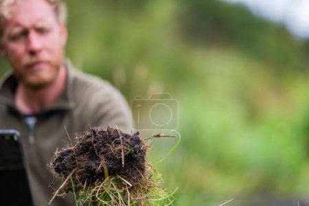 Téléchargez les photos : Champignons du sol stockant du carbone par séquestration du carbone dans une ferme, recevant des crédits carbone - en image libre de droit