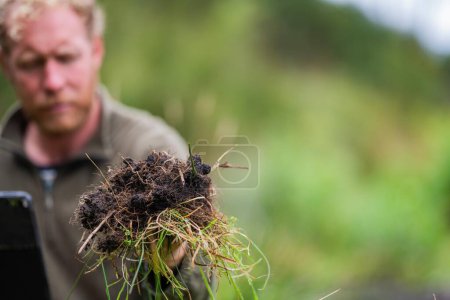 Foto de Hongos del suelo que almacenan carbono a través del secuestro de carbono en una granja, recibiendo créditos de carbono - Imagen libre de derechos