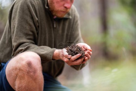 agricultural farmer Holding soil in a hand, feeling compost in a field in Tasmania Australia. soil scientist in australia