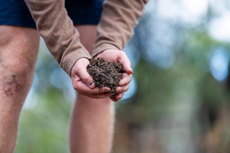 Téléchargez les photos : Tas de compost, compost thermophile organique tournant en Tasmanie Australie. Exploitation agricole soi - en image libre de droit