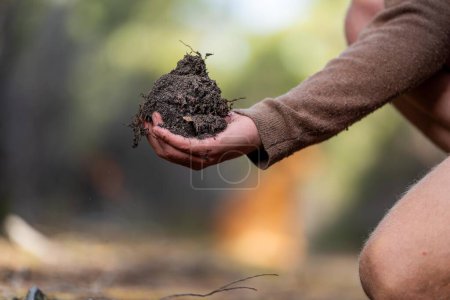 Universitätsstudent, der zur Waldgesundheit forscht. Landwirt sammelt Bodenproben in einem Reagenzglas auf einem Feld. Agronom überprüft Bodenkohlenstoff und Pflanzengesundheit auf einem Bauernhof in Australien im Frühjahr