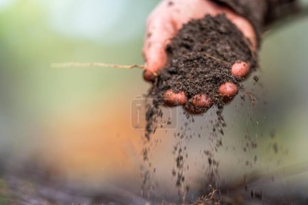 Foto de Agricultor agrónomo científico del suelo mirando muestras de suelo y hierba en un campo en primavera. mirando el crecimiento de las plantas y la salud del suelo en América - Imagen libre de derechos