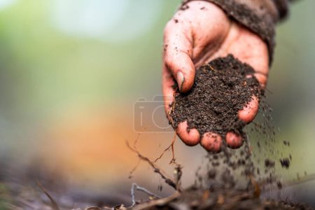 Photo for University student conducting research on forest health. farmer collecting soil samples in a test tube in a field. Agronomist checking soil carbon and plant health on a farm in australia in spring - Royalty Free Image