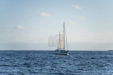 Photo for Sailing on a yacht in the australian in the remote forest wilderness in spring in australia - Royalty Free Image