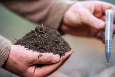 pédologue agronome agriculteur examinant des échantillons de sol et de l'herbe dans un champ au printemps. examiner la croissance des plantes et la santé du sol. échantillon de sol tes