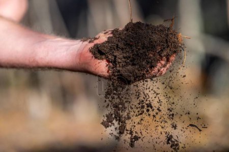 Komposthaufen, organischer thermophiler Kompost beim Drehen in Tasmanien Australien. Landwirt hält Boden in Australien