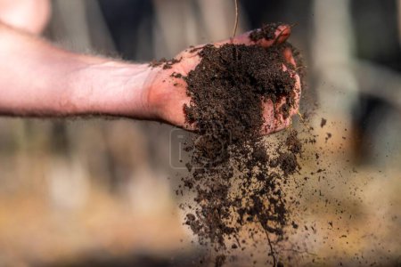 Foto de Agricultor tiene el suelo en sus manos monitoreando la salud del suelo en una granja. - Imagen libre de derechos