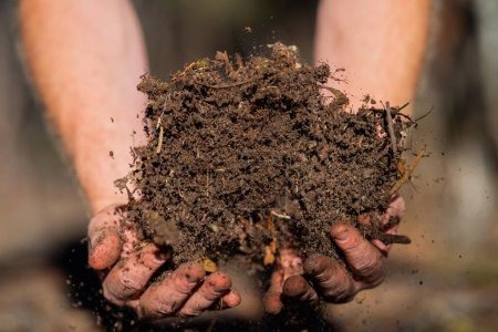 Téléchargez les photos : Tas de compost, compost thermophile organique tournant en Tasmanie Australie. sol d'exploitation agricole en Australie - en image libre de droit