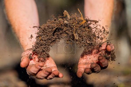 Photo for Compost pile, organic thermophilic compost turning in Tasmania Australia. farmer holding soil in australi - Royalty Free Image