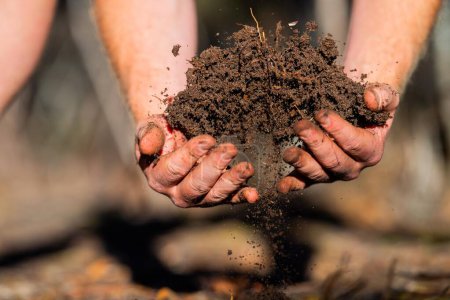 Regenerativer Biobauer, der Bodenproben entnimmt und sich das Pflanzenwachstum auf einem Bauernhof ansieht. nachhaltige Landwirtschaft 