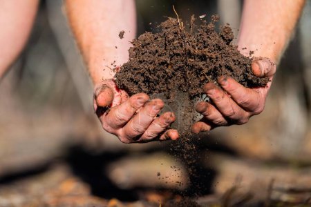 Komposthaufen, organischer thermophiler Kompost beim Drehen in Tasmanien Australien. Landwirt hält Boden in Australien