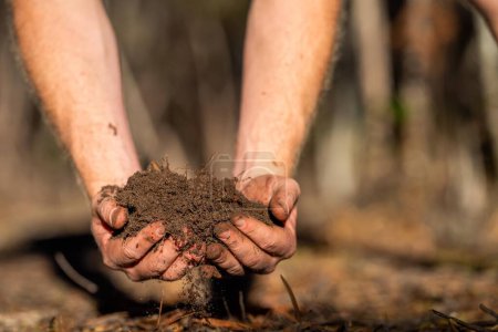 Landwirt hält Erde in der Hand und gießt Erde auf den Boden. verbunden mit Land und Umwelt. Bodenagronomie in Australien. Bodenheide-Studie für die Universität