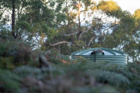 Wassertank aus Kunststoff im Wald eines netzunabhängigen Hauses in Australien im Busch im Sommer im Busch