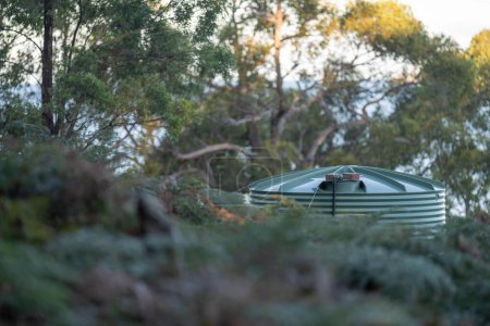 Wassertank aus Kunststoff im Wald eines netzunabhängigen Hauses in Australien im Busch im Sommer im Busch