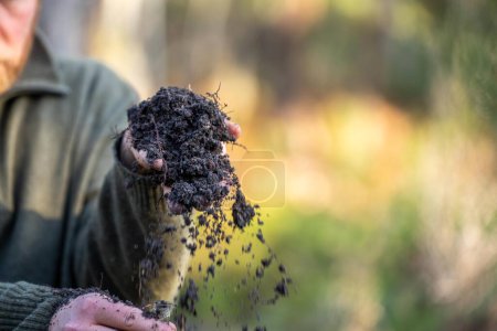  agriculteur tenant de la terre sur ses mains sur une ferme s'occupant de la santé de la terre au printemps en Australie
