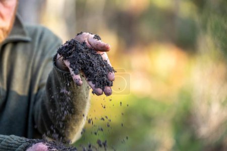  Bäuerin mit Erde in der Hand auf einer Farm, die sich um die Gesundheit der Erde im Frühling in Australien kümmert
