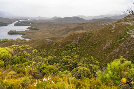 Berge in einer Wildnis in einem Nationalpark mit einheimischen Pflanzen und Bäumen in einem Regenwald in Australien, Wald wächst in einem Nationalpark in Tasmanien. mit Flüssen und der Erforschung von Neuseeland