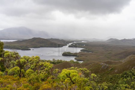 mountains in a wilderness in a national park with native plants and trees in a rainforest in Australia, forest growing in a national park in Tasmania. with rivers and exploring new zealand