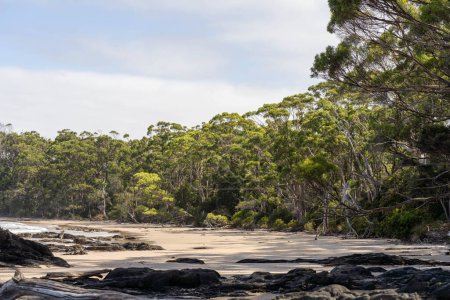 Segeln auf einer Jacht in der australischen Wildnis im Frühling in Australien mit Wellen, die an einem Strand an der australischen Küste brechen