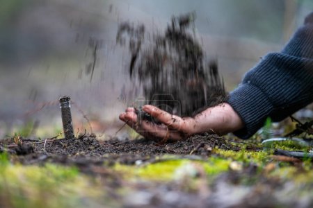 Holding soil in a hand, feeling compost in a field in Tasmania Australia. on a farm in america