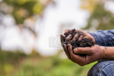 Agronomin auf einem landwirtschaftlichen Betrieb, wo sie Bodenproben in ihrem Heimatlabor durchführt. Blick auf das Bodenleben 