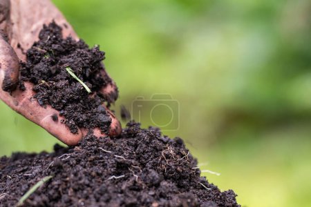 Regenerative Bio-Bäuerin, entnimmt Bodenproben und betrachtet das Pflanzenwachstum in einem Bauernhof. Nachhaltige Landwirtschaft in Australien