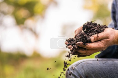 Regenerativer Biobauer, der Bodenproben entnimmt und sich das Pflanzenwachstum auf einem Bauernhof ansieht. Nachhaltige Landwirtschaft praktizieren