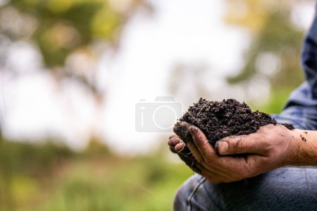 farmer holding soil on her hands on a farm looking after the health of the earth in spring