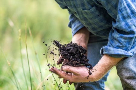 Holding soil in a hand, feeling compost in a field in Australia. 