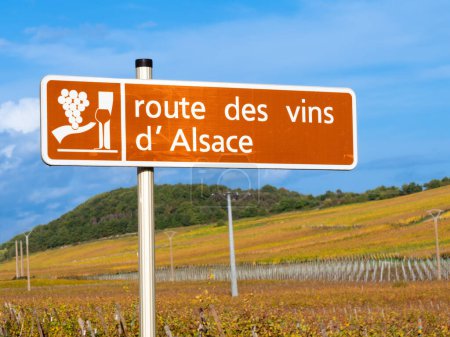 Ein Schild und Symbol der Route des Vins im Elsass, Frankreich. Englische Übersetzung: Weinstraße des Elsass