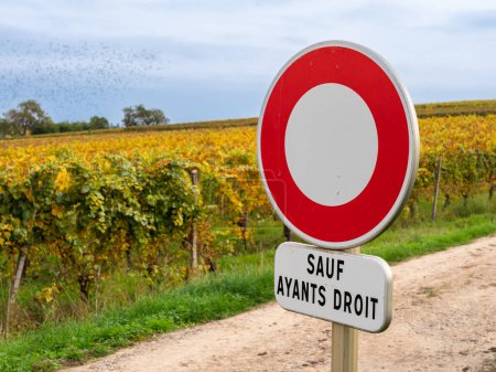 Photo for Traffic sign prohibiting driving cars among vineyards in Alsace. Inscription in French: Sauf ayant droit. English translation: Authorized only excepted - Royalty Free Image