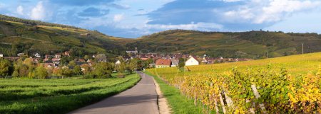 Téléchargez les photos : Situé dans la vallée des vignobles, le village de Westhalten en France est typique de la Route des Vins d'Alsace. - en image libre de droit